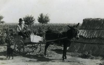Priča o fotografiji: Pudar